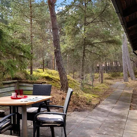 2721-nexo-raevevej-2