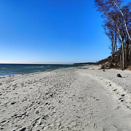 2721-nexo-raevevej-2 *