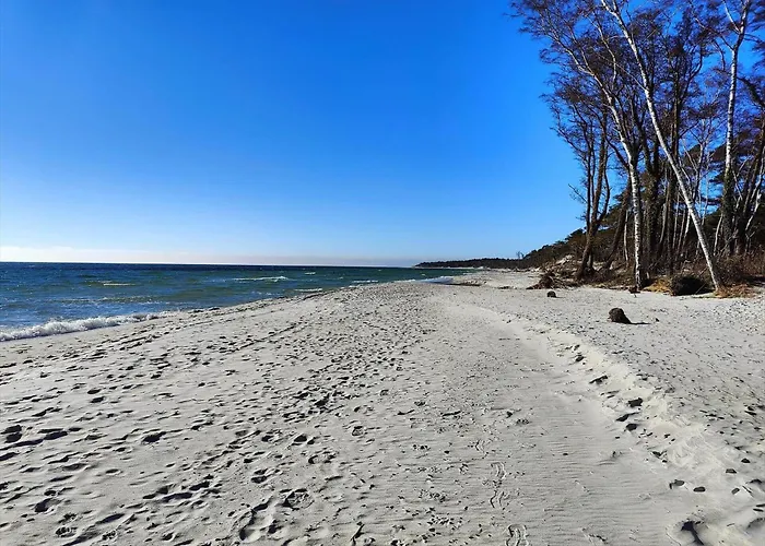 2721-nexo-raevevej-2 *